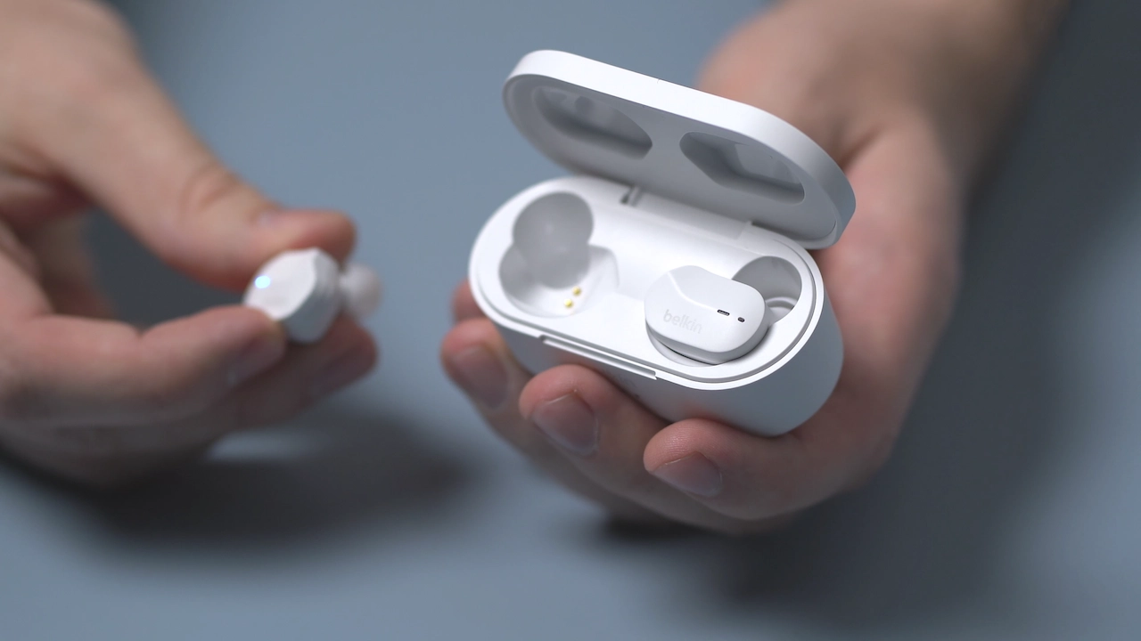 belkin-vs-guess
